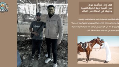 رمال تونس تزداد توهجاً بخيولها